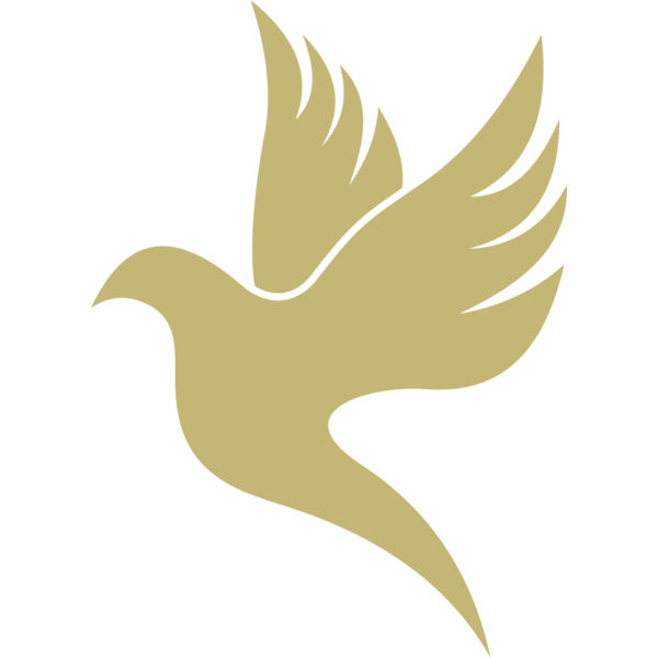 Dove 2 Thumbnail