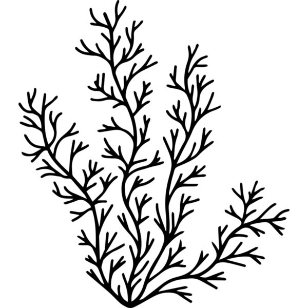 Herb Sprig Thumbnail
