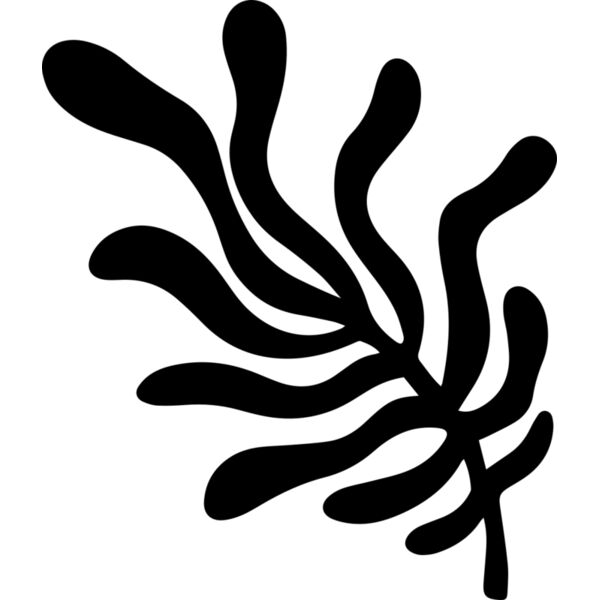 Seaweed Swirl Thumbnail
