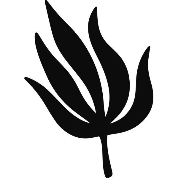 Tropical Leaf Thumbnail