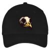 ATC  MID PROFILE TWILL CAP Thumbnail